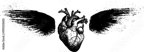 Anatomical heart with gritty brush wings high contrast black and white ink for tattoo design and background