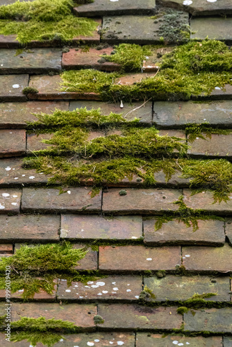 Background texture of old moss covered red clay roof tiles