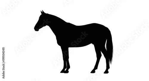 Silhouette of a horse standing in profile against a white background