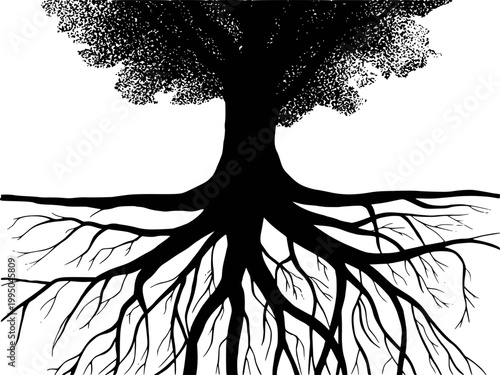 Silhouette of a large tree with extensive root system, isolated white background