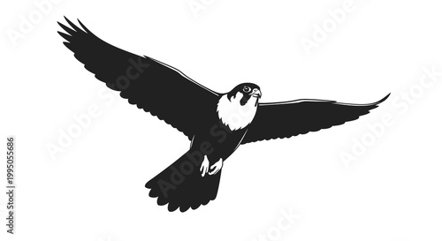 A striking black and white illustration of a peregrine falcon in flight