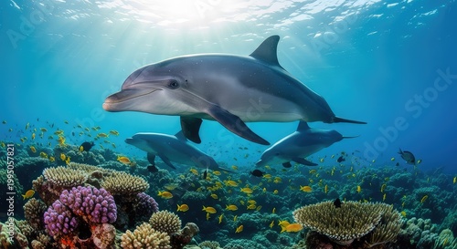 Dolphins swimming in the ocean with coral reef and many small fish in clear blue water with sunlight