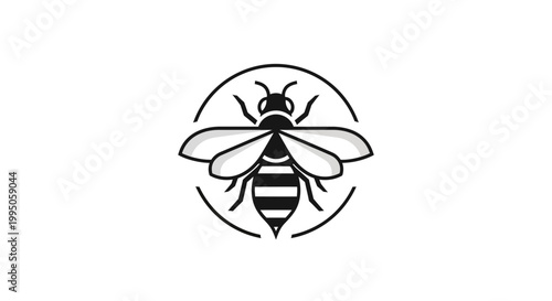 Minimalist Bee Icon in Circle, Vector Illustration, Insect Logo