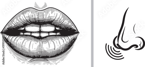 Hand drawn engraving of human mouth with teeth and stylized nose icon isolated on white background illustration