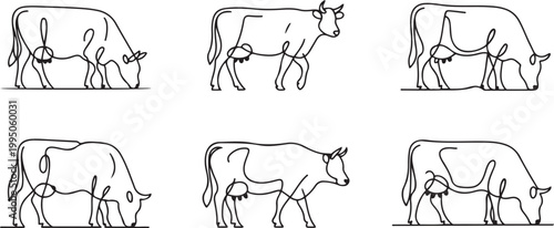Cows in different poses. Elegant line drawing set of grazing and walking cattle. one line Icon drawing