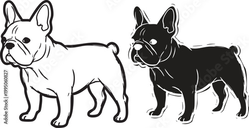 Two french bulldogs presented in contrasting black and white line art illustrations