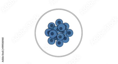 A cluster of blue washers in a circle.