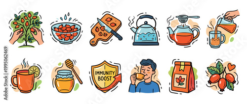 Set of rosehip tea making illustrations showing the process from picking berries to drinking a healthy beverage for immunity boost, presented in a colorful doodle cartoon style