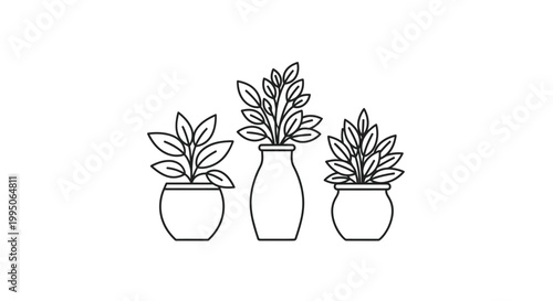 Three potted plants with leaves in vector graphic illustration style on white background