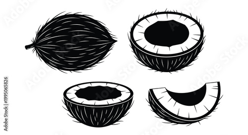 Illustrative depictions of whole and broken coconuts in black silhouette