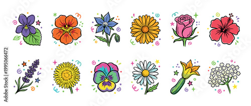 Colorful collection of twelve edible flowers including rose, lavender, pansy, and hibiscus drawn in a cute, playful doodle style with decorative stars and swirls