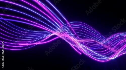 Abstract Purple Flowing Lines On Black Background