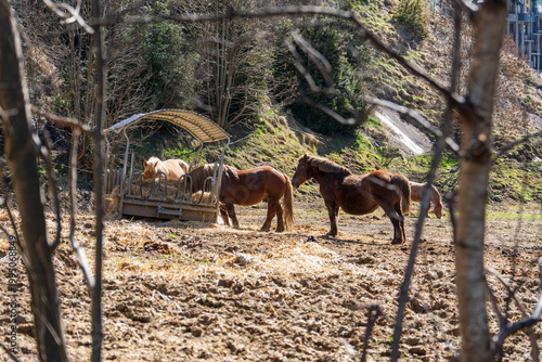 Landscape in the valley of Ordino Andorra