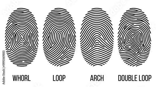 Fingerprint Patterns Vector Collection – Whorl, Loop, Arch, Double Loop Designs for Forensic Identification, Security Biometrics, Unique Ridge Flow, Black Line Art Vector Illustration