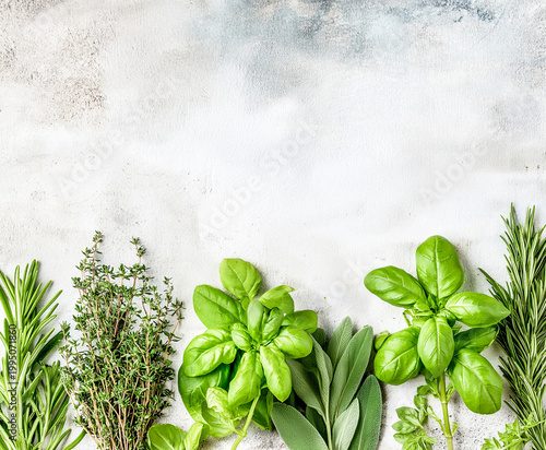 Fresh green herbs including rosemary, thyme, basil, and sage arranged on a light textured background, ideal for culinary and cooking themes in springtime settings