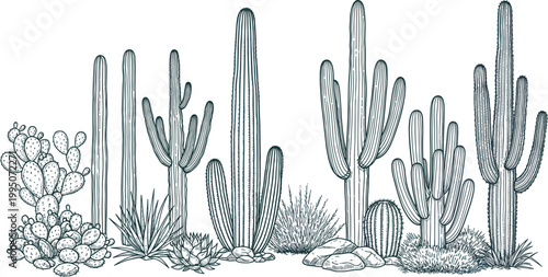 Hand Drawn Desert Flora Collection Featuring Saguaro Prickly Pear And Barrel Cactus Varieties With Arid Landscape Succulents Vector Illustration
