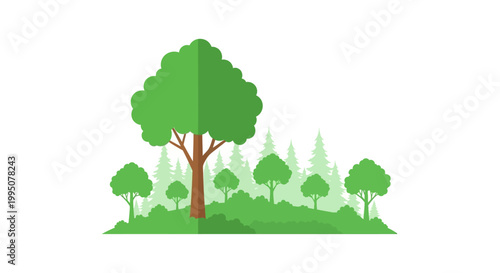 Flat Design Forest Landscape with Green Trees and Bushes on White Background