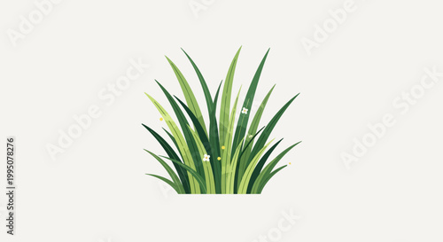 Green Grass Bush with Dew Drops - Nature Element