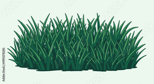 Green Grass Bush Isolated On White Background - Lush Foliage Illustration