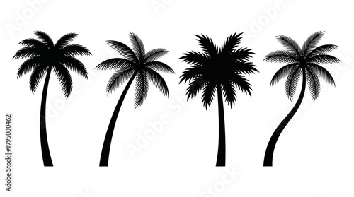 Palm Tree Silhouettes Vector Illustration with Tropical Designs, Curved Trunks, Leaf Arrangements, Exotic Nature Artwork, Summer Beach Paradise, Minimalist Tropical Vector Art