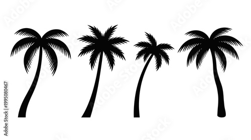 Palm Tree Silhouettes Vector Illustration with Tropical Designs, Curved Trunks, Leaf Arrangements, Exotic Nature Artwork, Summer Beach Paradise, Minimalist Tropical Vector Art