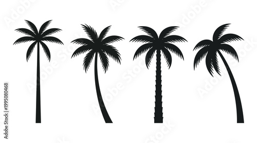 Palm Tree Silhouettes Vector Illustration with Tropical Designs, Curved Trunks, Leaf Arrangements, Exotic Nature Artwork, Summer Beach Paradise, Minimalist Tropical Vector Art