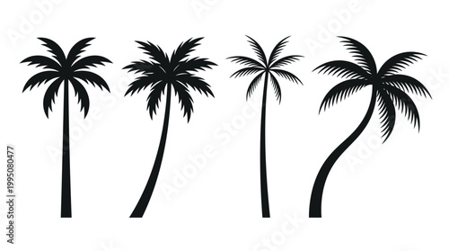 Palm Tree Silhouettes Vector Illustration with Tropical Designs, Curved Trunks, Leaf Arrangements, Exotic Nature Artwork, Summer Beach Paradise, Minimalist Tropical Vector Art