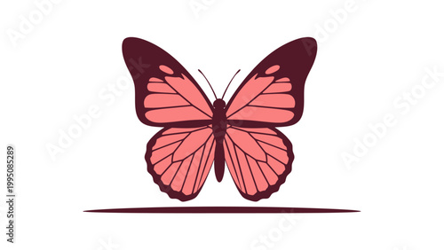 Minimalist illustration of a two-toned butterfly with a dark outline on white