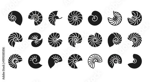 Nautilus Shell Icons, Black and White Spiral Shells, Oceanic Symbols, Vector Illustration Set of 20