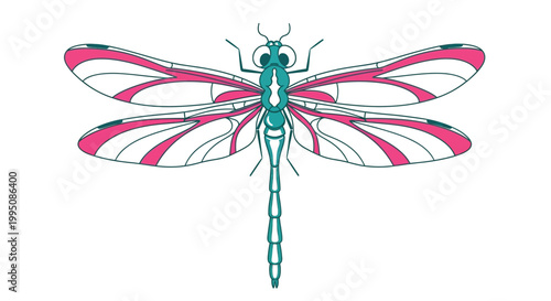 Dragonfly features detailed wings with intricate pink and blue patterns to showcase the delicate anatomy of a winged insect in a clean and stylized graphic art format.