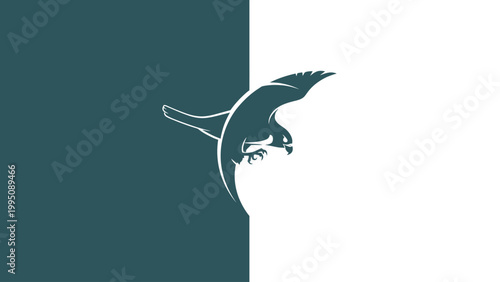 White falcon silhouette swooping from dark teal to white background
