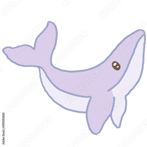 vector illustration of whaile 