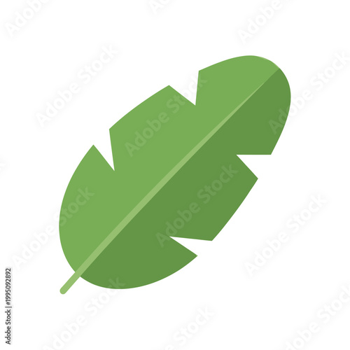 Vibrant Green Banana Leaf Isolated on White Background, Tropical Plant Element