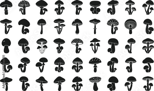 Mushroom silhouette collection, fungi vector artwork, botanical illustration design, wild mushroom icons, black and white fungus shapes, educational reference graphics