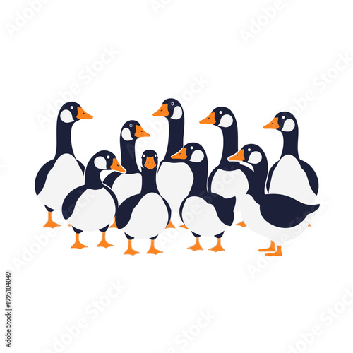 Принти на полотні Flock of Cute Geese Standing Together, Isolated on White Background