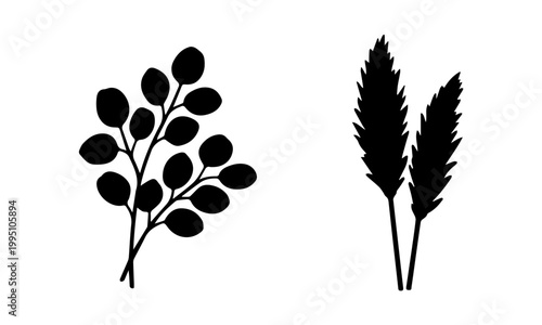 Black and white silhouette of plants 