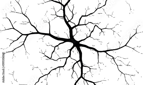 Abstract Black and White Cracked Surface and Fracture Pattern.