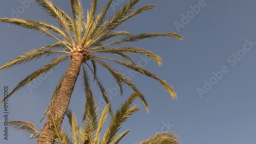 elX alicante españa