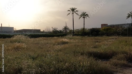 elX alicante españa