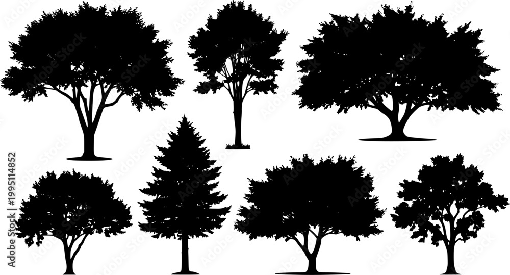 Obraz premium Summer trees silhouettes - Vector stock