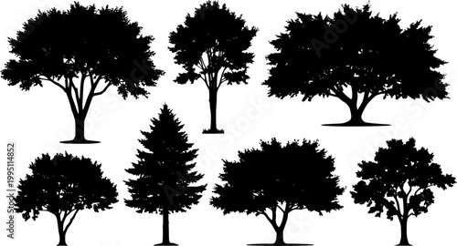 Summer trees silhouettes - Vector stock