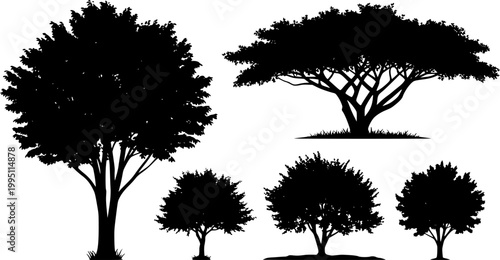 Summer trees silhouettes - Vector stock