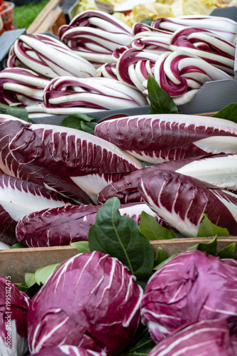 Fresh purple culinary Italian chicory with bitter-sweet flavor radicchio salad leaves on food marken in Rome, Italy