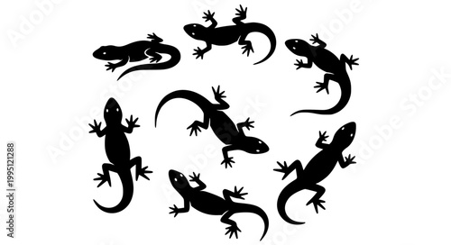 Lizard Silhouette Vector Set Reptile Animal Poses Black Illustration Collection