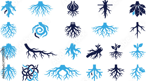 Collection of root and plant stem icons showing organic growth and plant structures on white background.