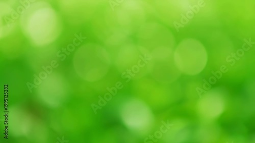 Soft green bokeh background with blurred foliage. Represents tranquility, nature, and a fresh atmosphere for various creative projects