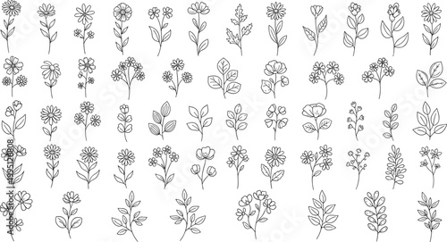 Photos Hand Drawn Floral and Botanical Collection Featuring Wildflowers, Leafy Branches