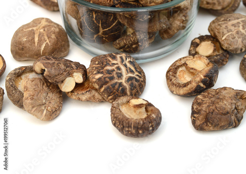 Mushrooms dry on white background