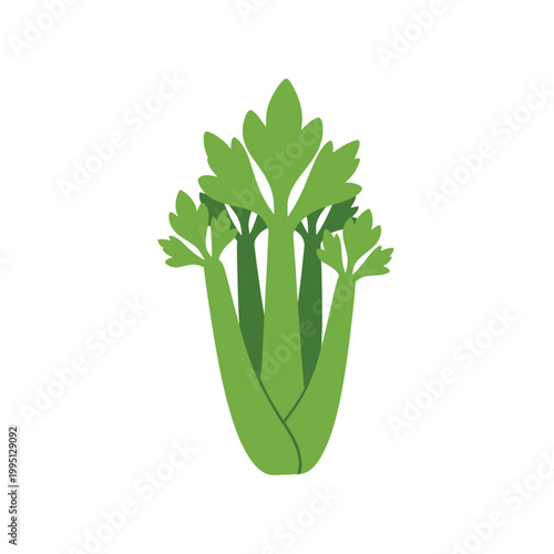 Fresh Green Celery Stalks with Leaves Isolated on White Background