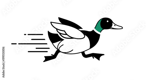Running cartoon duck in motion fast.